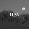 Luna (House Remix) cover art