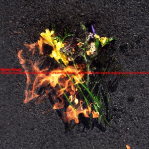 Never know (feat. zemean)