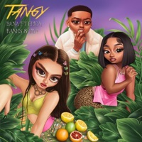 Tangy (feat. Erica Banks & Jay1) [Remix] - Single - Bana
