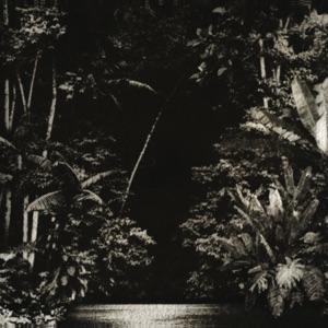 Arpejos da Floresta - EP