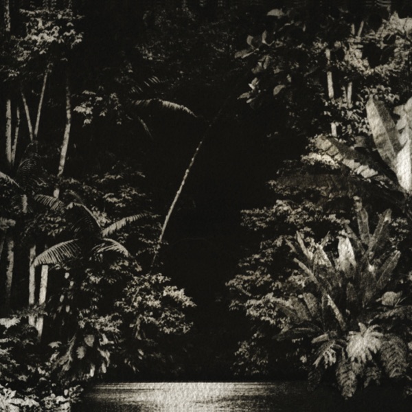 Arpejos da Floresta - EP