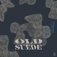 Old Suede (feat. Rshad, Marcus Isiah, Apollo J & Zay Suav) - Single - Bungalow Collect