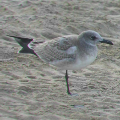 Ho' Lotta (feat. River Gold) [GOLD Version] - Single