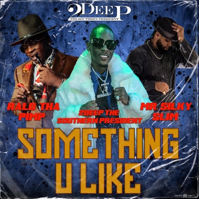 Something You Like (feat. Ralo tha Pimp & Mr. Silky Slim) - Single