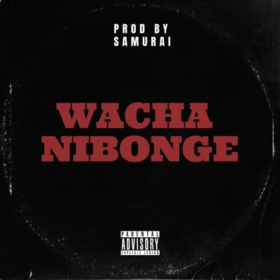Wacha Nibonge - Single