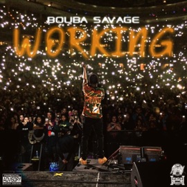 WORKING Bouba Savage