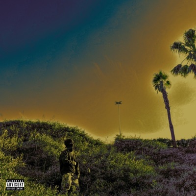 Sfmm* Nc* - Single