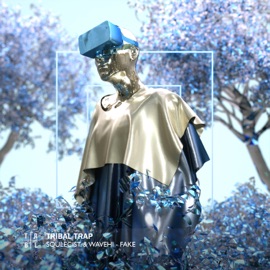 Fake soulecist. & Wavehi