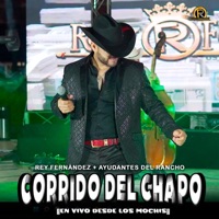 Corrido del Chapo (feat. Ayudantes del Rancho) - Single - rey fernandez