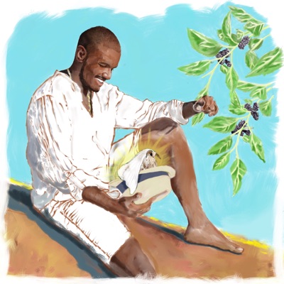 Bicho-Da-Seda - Single