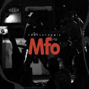 Mfo (feat. Hazy, Duma Ka Mthombeni, PhilaBoi K & V.I) - Single