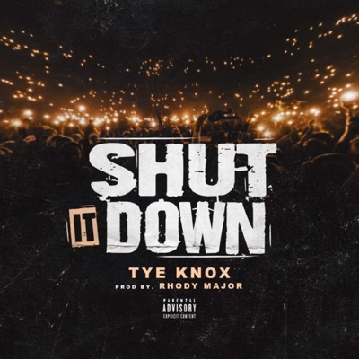 Shut it Down - Single