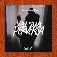 Vai Sua Perversa - Single - MC Sillva & DJ Pilli011