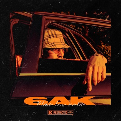 Plus les mots - Single