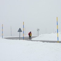 OTRO PALO - Single - Markiu & Kawer Téllez