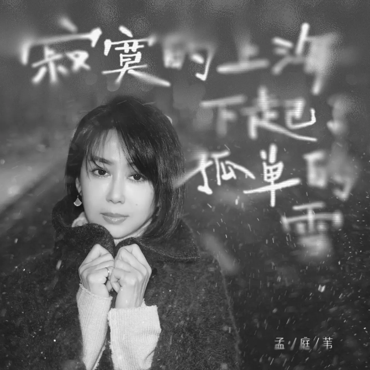 孟庭葦 - 寂寞的上海下起了孤單的雪 - Single (2024) [iTunes Plus AAC M4A]-新房子