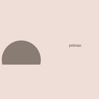 Pelican - Single - Chkody