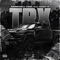 Trx (feat. Baby K) - BankRoll Tink lyrics