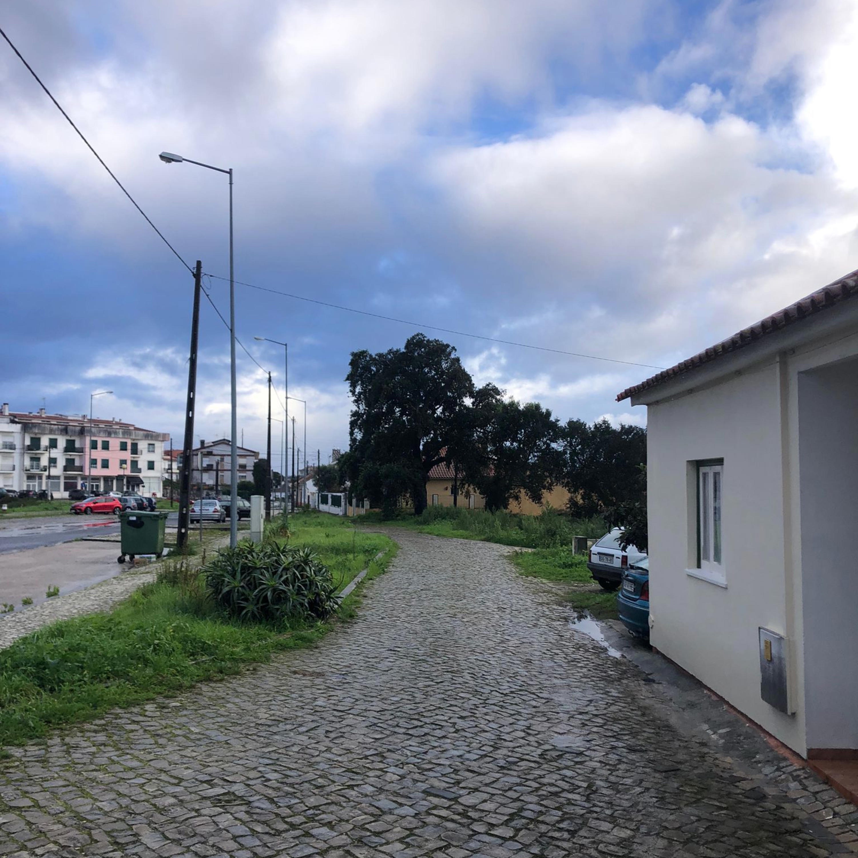 Sm Pain In Mh - Single