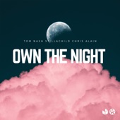 Own the Night artwork