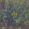 Fly (feat. Alita Moses) - Single