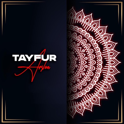 Tayfur Arslan - Seni Severdim (Remix)