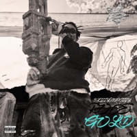 Rose Gold - Single - BlizzyNoKizzy