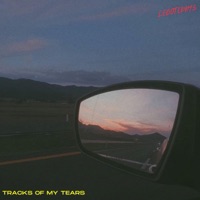 Tracks of My Tears - Single - Legoteddys