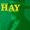 LEMBRA Colin Hay Band - Into My Life (Áudio Remasterizado)