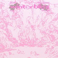 Winterbliss (feat. i9bonsai & Ballantree) - Single - Sp1rit