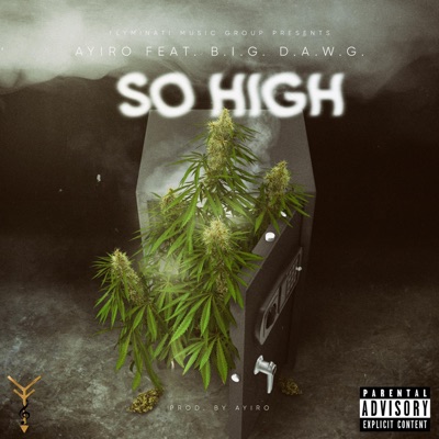 So High (feat. B.I.G. D.A.W.G.) - Single