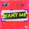 Want Me (feat. Nathalie Dorra) - Eskei83 lyrics