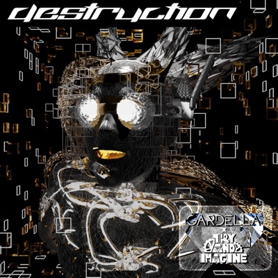 Destruction (feat. Try and Imagine) - Single