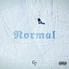 Normal - Single