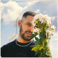 Cicatrices - Single - Javier Columbié