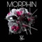Morphin' - Nyquist lyrics