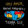 Hay Amor - Single