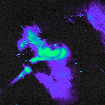 over u - Single