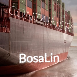 Container (feat. 1 MC & Artie King) Bosalin