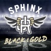 Sphinx (Black & Gold) - Single