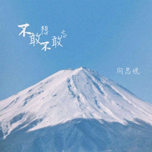 不敢想不敢忘 - Single
