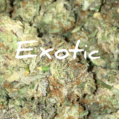 Exotic - Single