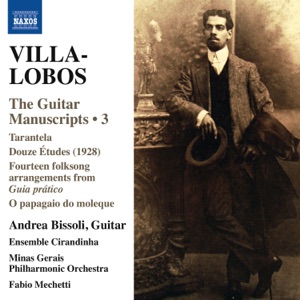 Villa Lobos - The Guitar Manuscripts No. 3 (feat. Andrea Bissoli & Fabio Mechetti)