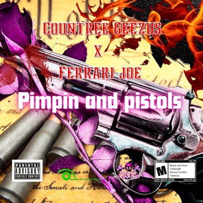 Pimpin & Pistols