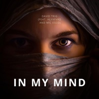In My Mind (feat. hlyxfvrd & Mic Esco) - Single - David Trig