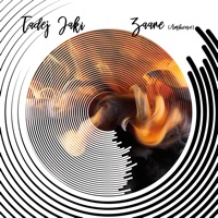 Zaare (Ambience) - Single - Tadej Jaki
