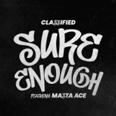 Sure Enough (feat. Masta Ace) artwork