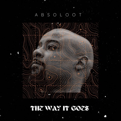 The Way It Goes - Single
