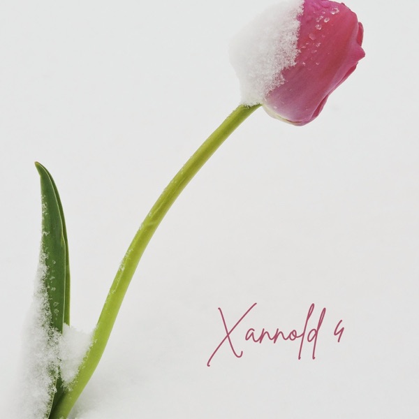 Xannold 4 (feat. Derek)