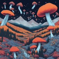 Living in a Dream - Single - Tjz